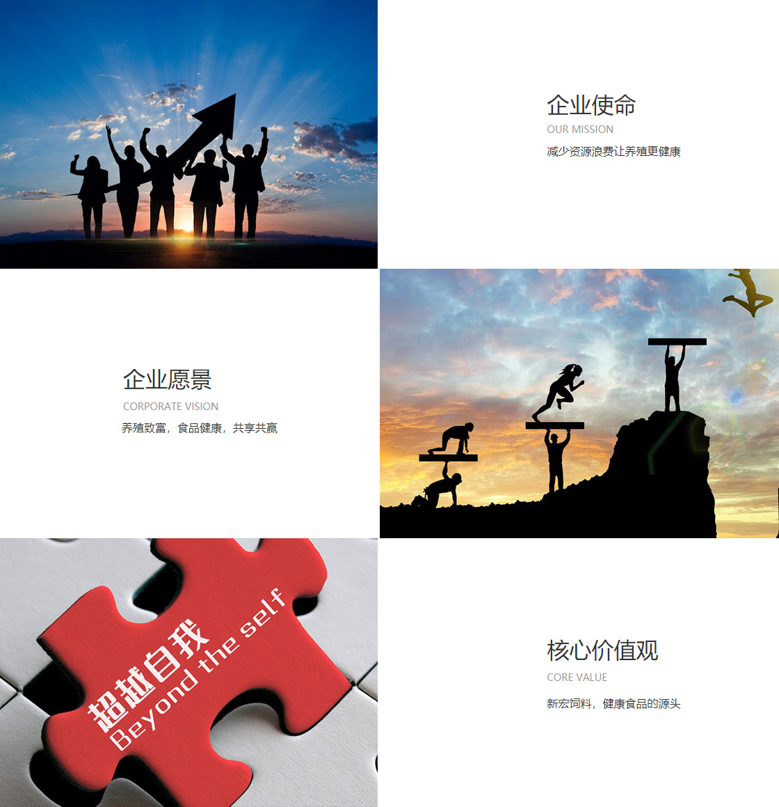 Bsports必一网页版(图1)